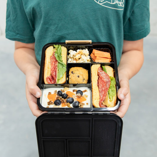 MontiiCo Bento 5 - Dinosaur Land