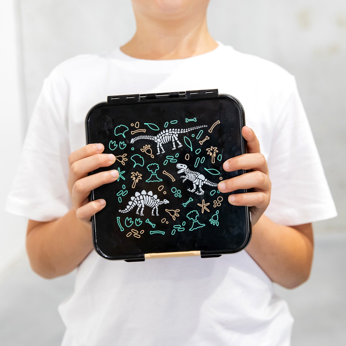 Montii.Co Bento 3 - Dinosaur Land