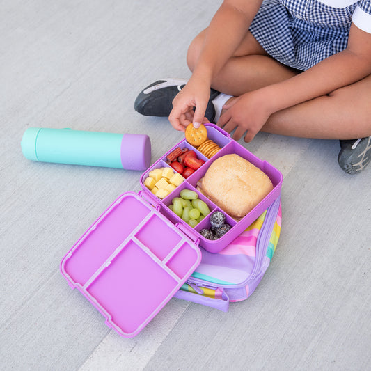 MontiiCo Feast Bento Lunch Box - Fuchsia