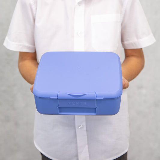 MontiiCo Feast Bento Lunch Box - Splash