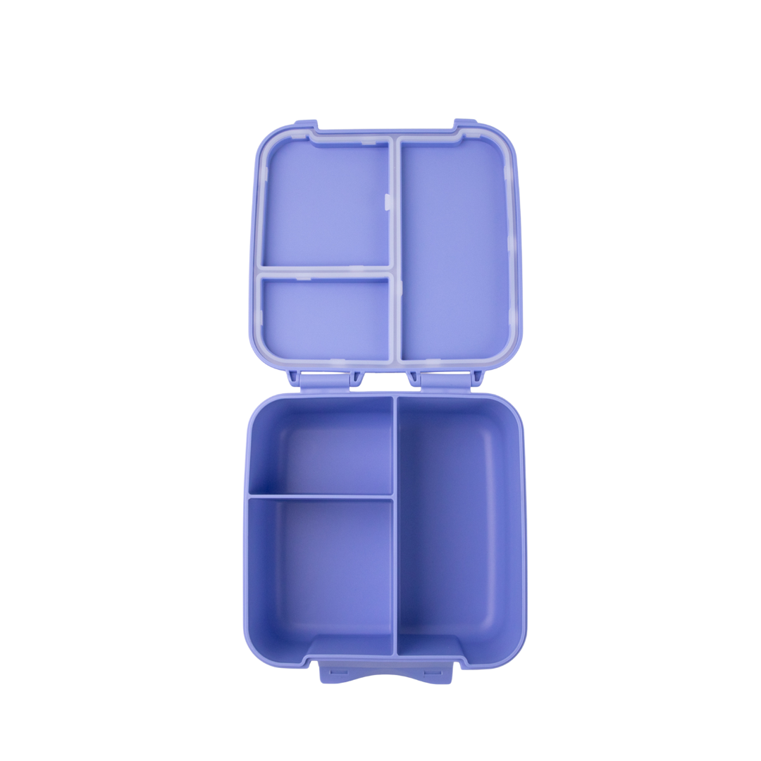 MontiiCo Feast Bite Lunch Box - Splash
