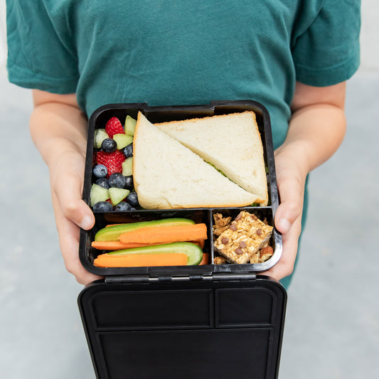 Montii.Co Bento 3 - Dinosaur Land