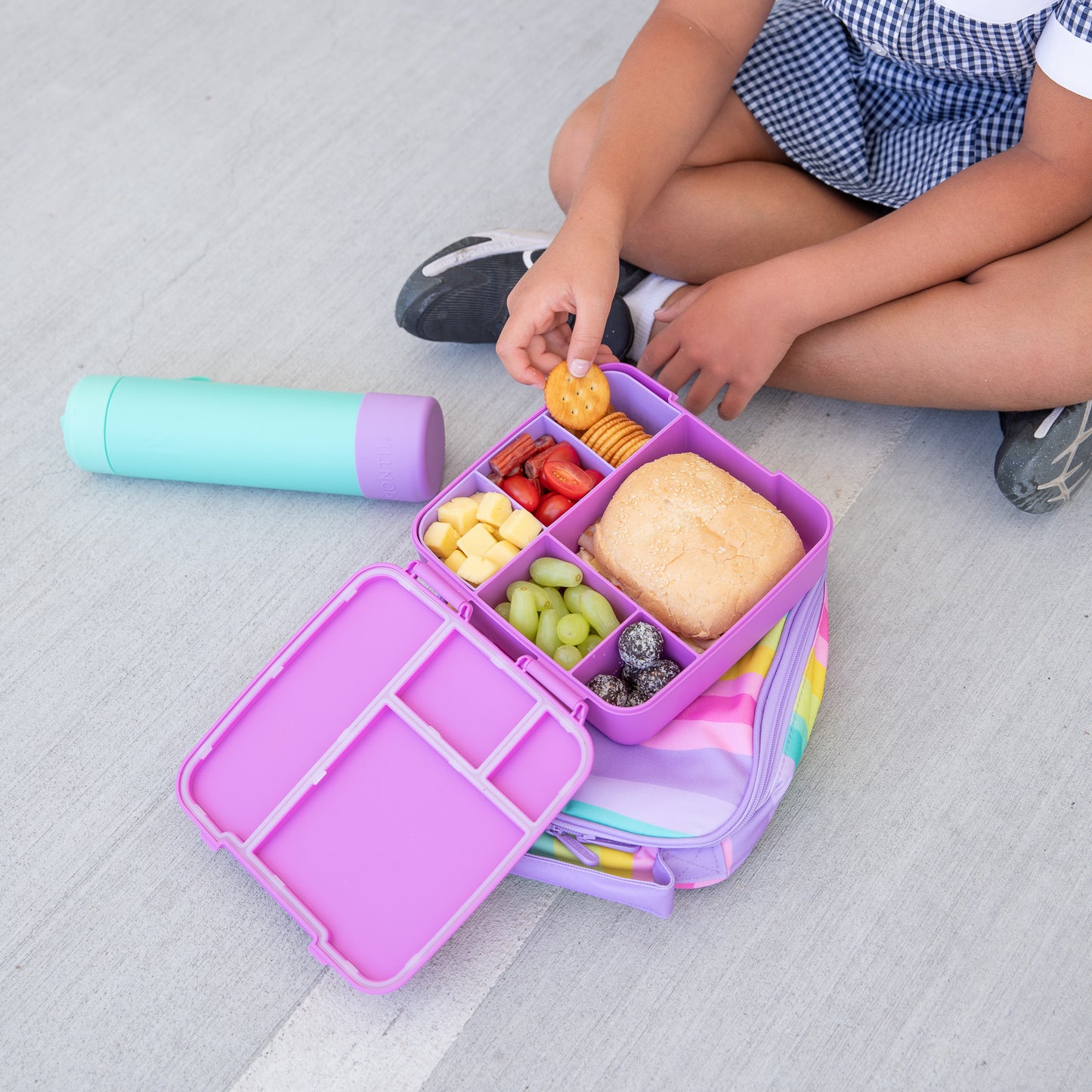 MontiiCo Feast Bento Lunch Box - Fuchsia