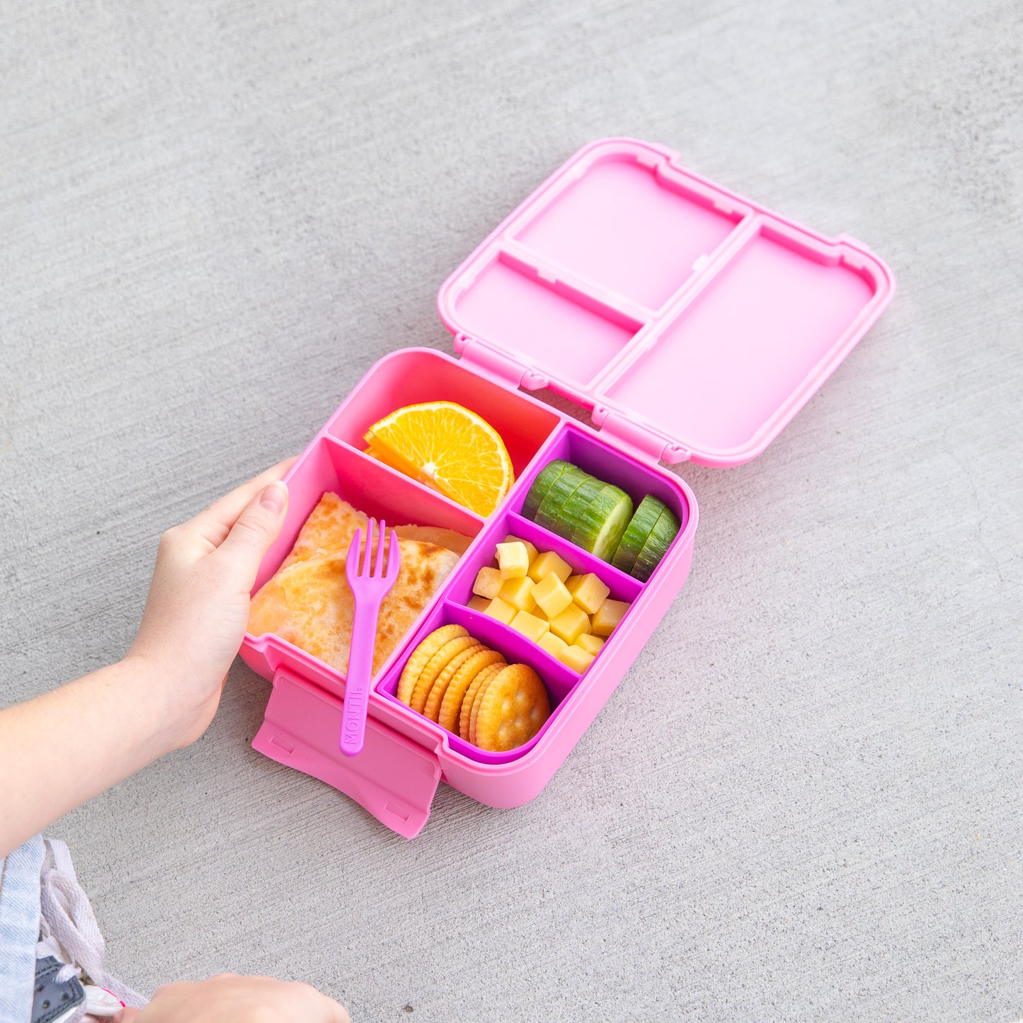 MontiiCo Feast Bite Lunch Box - Floss
