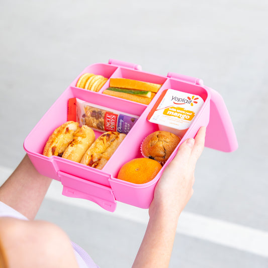a picture of MontiiCo Feast Bento Lunch Box - Floss on a white background for a fun bento meal