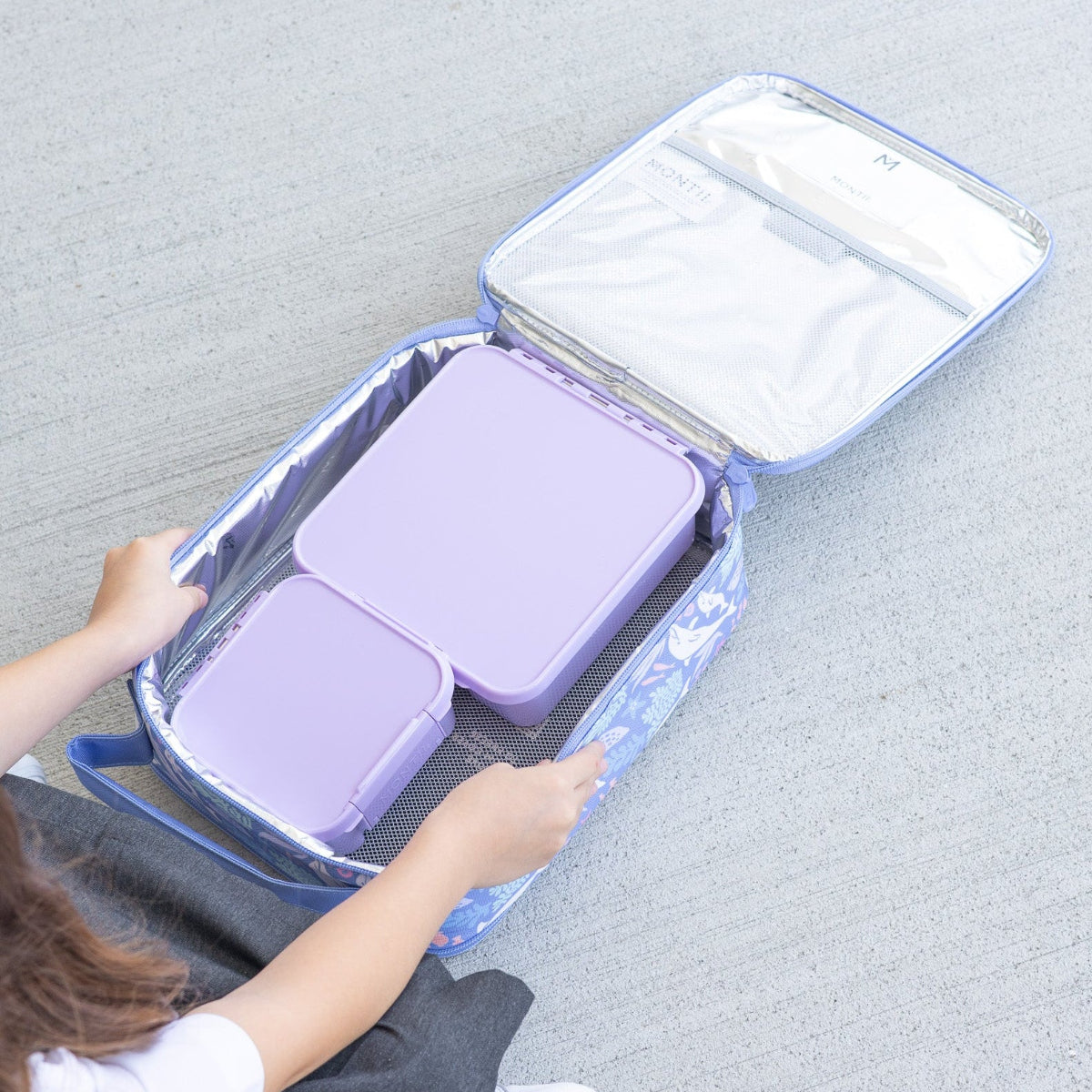 Clear MontiiCo lunchbag dolphin  compartments on a gray surface