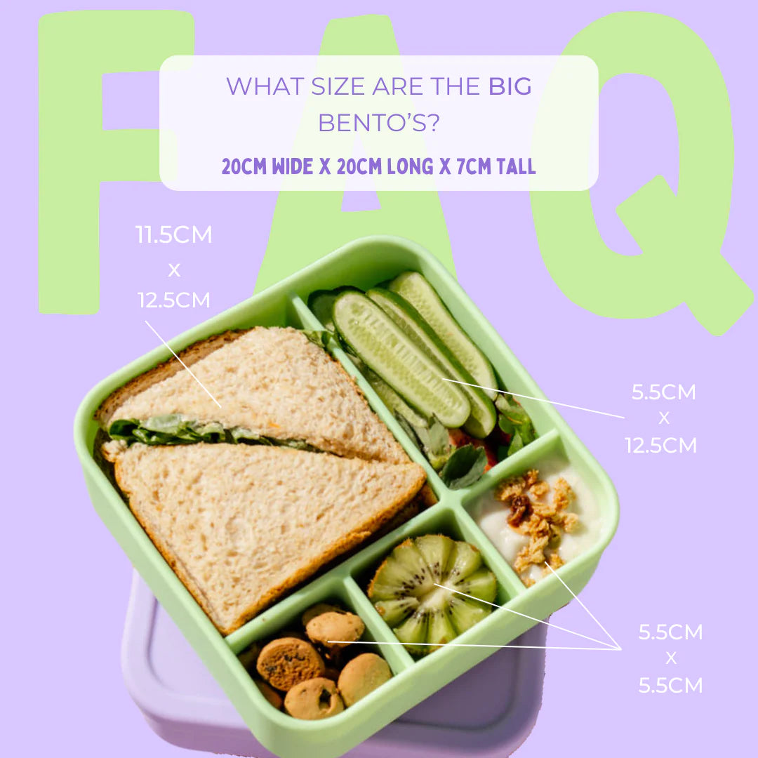 The Zero Waste People BIG Silicone Lunch Box - Fairy Floss