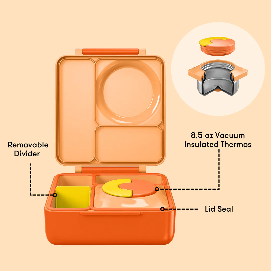Orange lunch box with removable divider, 8.5 oz vacuum insulated thermos, and lid seal on a beige background.