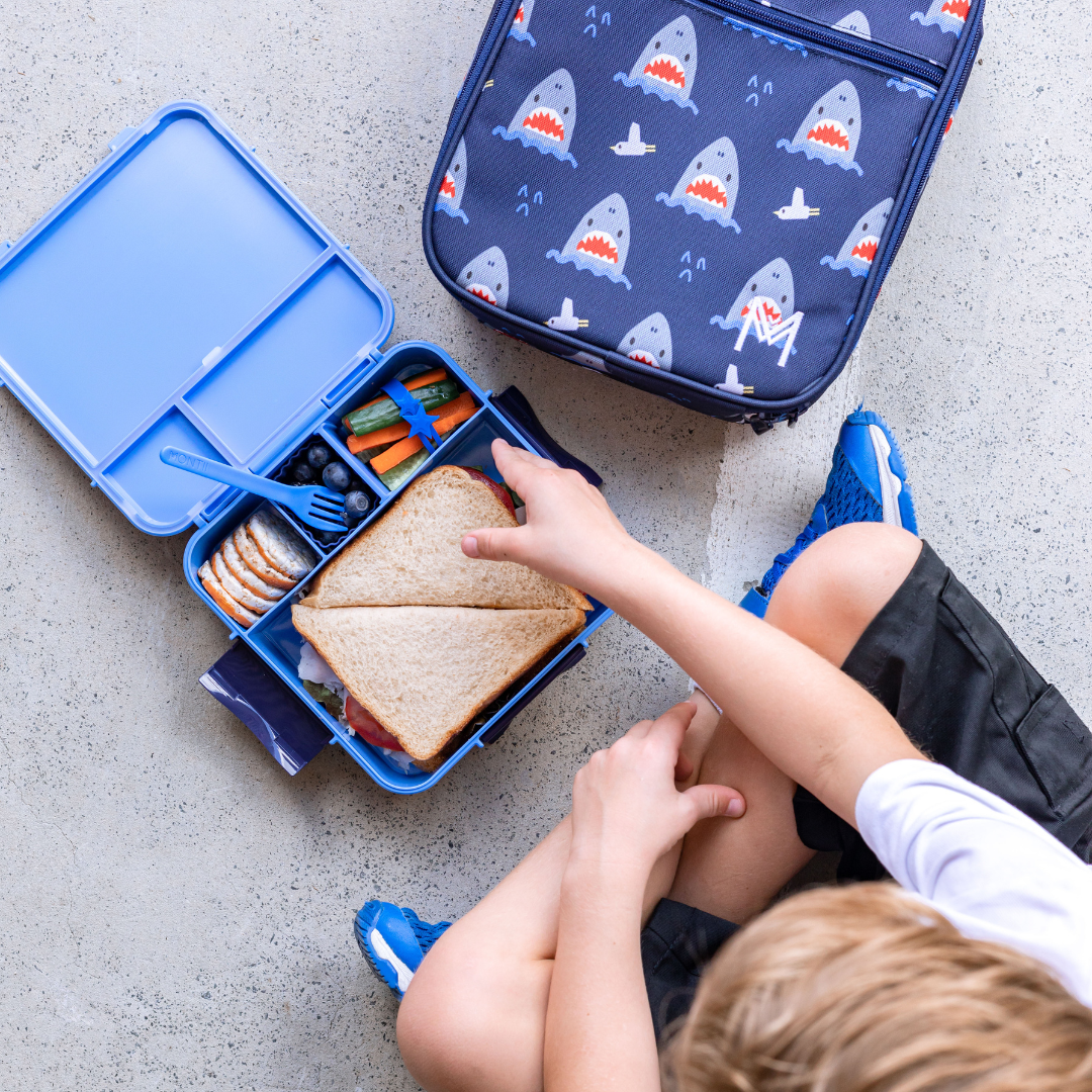 Little Lunch Box Co. Bento 3+ - Blueberry