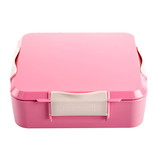 a picture of Montii.Co Bento Plus - Blush Pinkon a white background for cute lunches