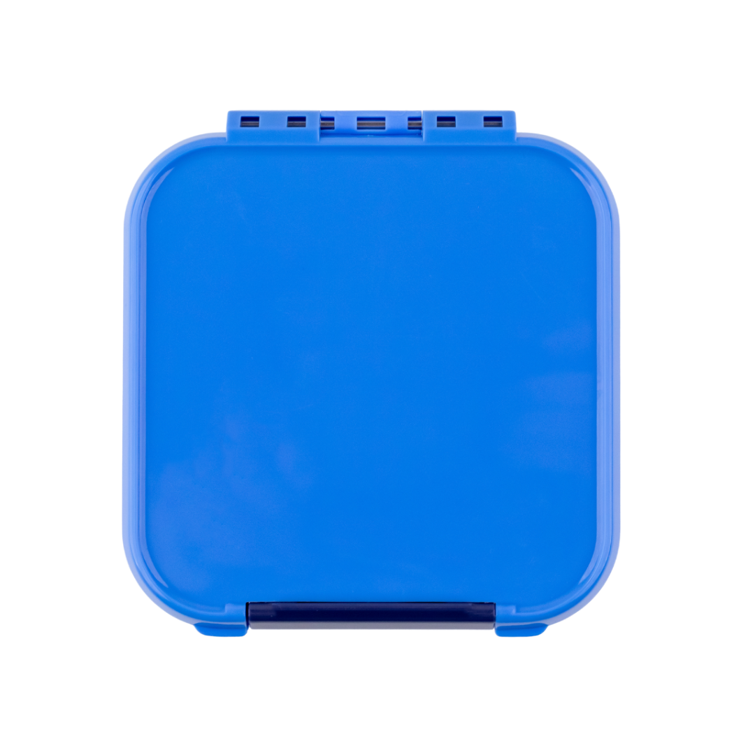 Little Lunch Box Co. Bento 2 - Blueberry