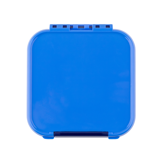 Little Lunch Box Co. Bento 2 - Blueberry