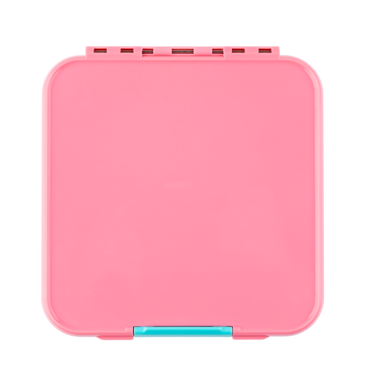 Little Lunch Box Co. Bento 5 - Strawberry