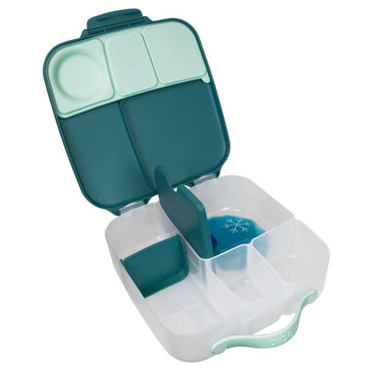 a picture of b.box Lunch Box - Emerald Foreston a white background for fun bento lunches