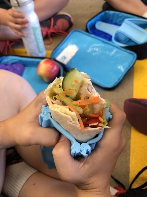Blue silicone Wrap’d holder being used to hold a fresh vegetable wrap during an outdoor lunch, showing a reusable wrap holder that keeps wraps and tortilla wraps secure and easy to eat.