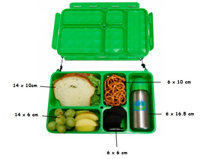 Go Green Lunch Box  Dimensions -  Baby Bento