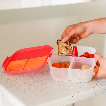 b.box MINI Lunch Box - Emerald Forest