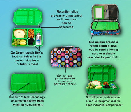 Go Green Lunch Box - Cars with Blue Box - BabyBento