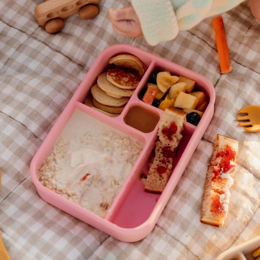 The Zero Waste People Silicone Lunchbox - Watermelon