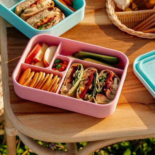 The Zero Waste People Silicone Lunchbox - Watermelon